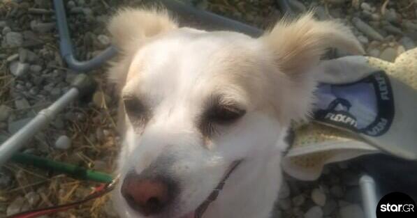 Η Σπίθα μου: Μια αγάπη χωρίς όρους και όρια!