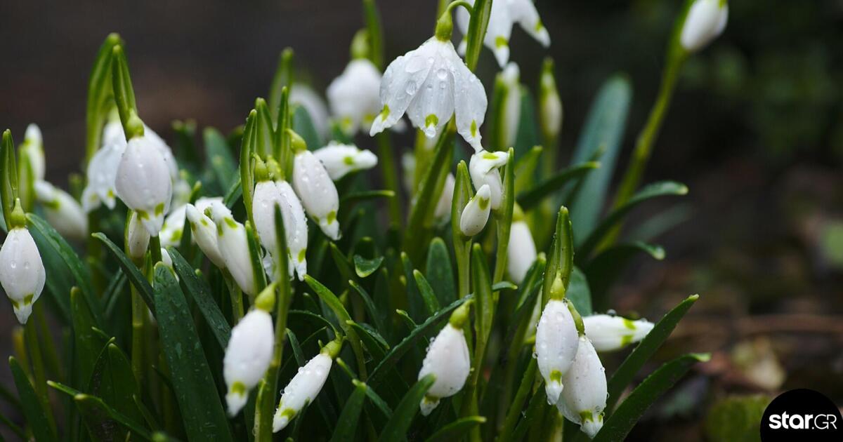 Εορτολόγιο: Ποιοι γιορτάζουν στις 5 Aπριλίου