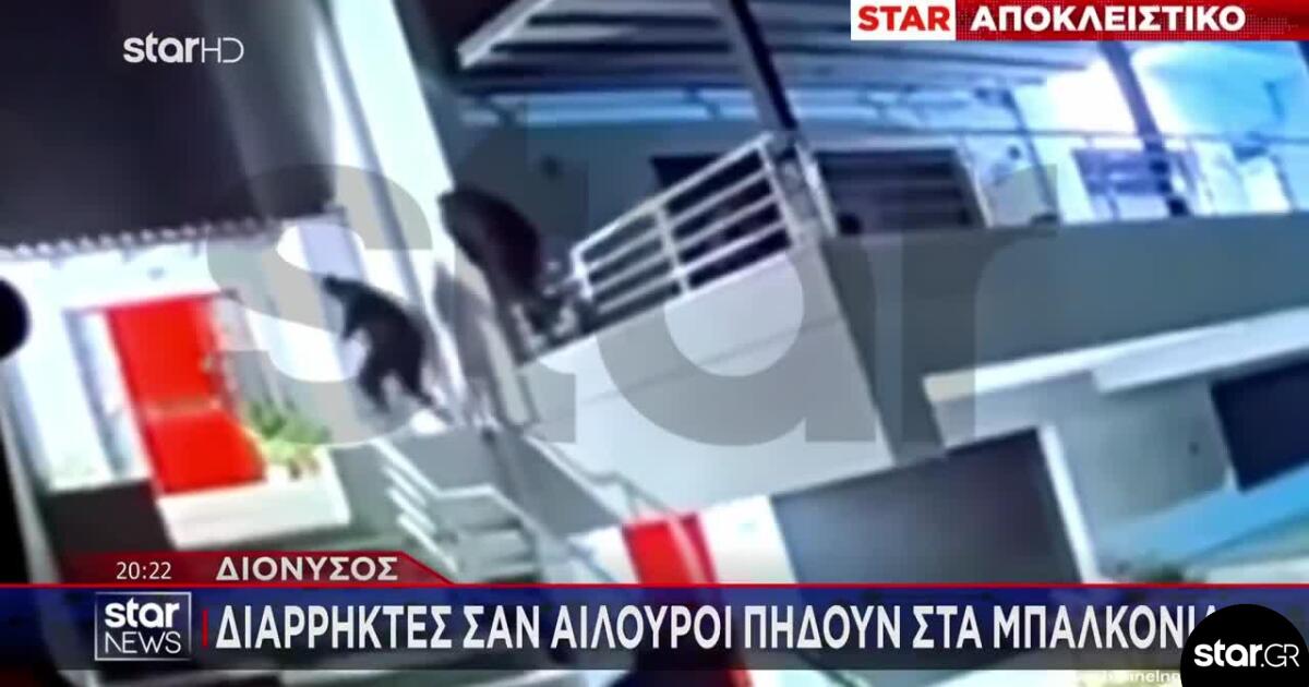 «Ανάσταση» Για Τους Διαρρήκτες Οι Ημέρες Των Γιορτών