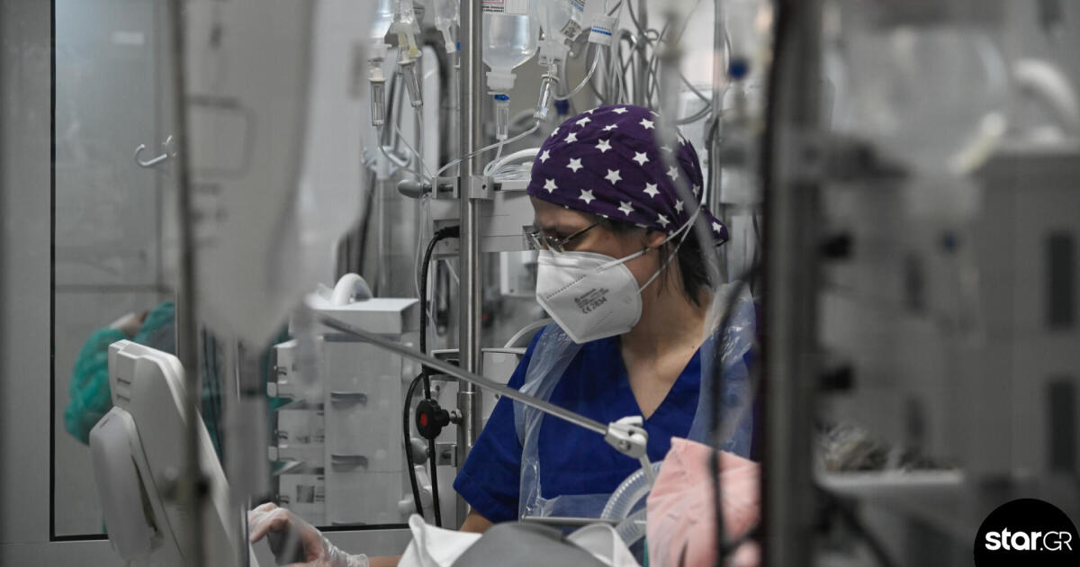 Κρήτη: Τα νεότερα για την υγεία 4χρονου που τον δάγκωσε σκύλος