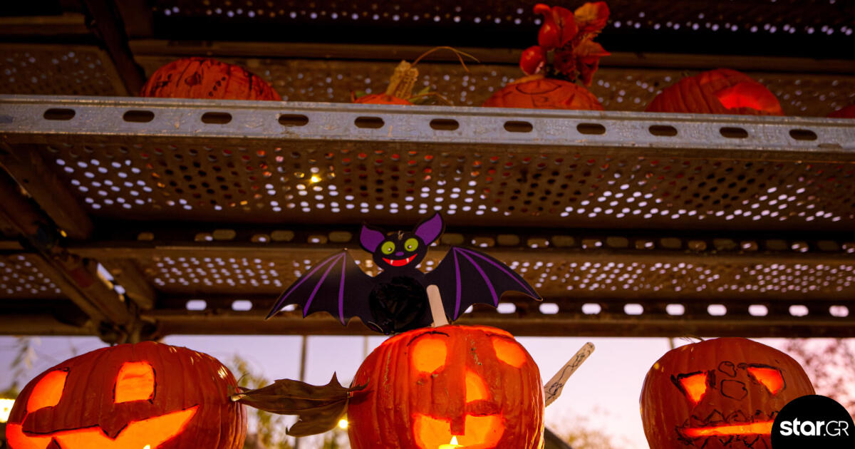 Halloween 2026 Star gr Halloween 2026 Star gr
