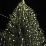 Το πιο άσχημο χριστουγεννιάτικο δέντρο στην Ευρώπη