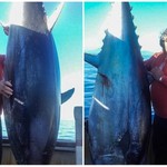 Ψαράς στην Ηλεία έβγαλε τόνο 226 κιλών