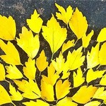 Τα φθινοπωρινά φύλλα γίνονται έργα τέχνης