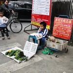 Κοριτσάκι πουλάει λαχανικά,ελπίζοντας να βρει τους γονείς