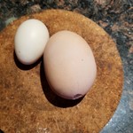 Δεν θα πιστεύετε τι βρήκε μία γυναίκα μέσα σε ένα αυγό