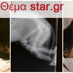 ΦΡΙΚΗ στο Άργος:Πυροβόλησε 2 μηνών κουτάβι με καραμπίνα 