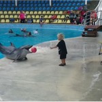 ΤΕΛΕΙΟ! Δελφίνι παίζει μπάλα με αγοράκι 