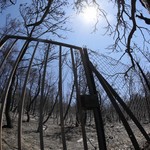 ΑΥΤΟΨΙΑ STAR: Απέραντες χωματερές τα δάση της Αθήνας-Μεγάλος ο κίνδυνος εκδήλωσης πυρκαγιάς
