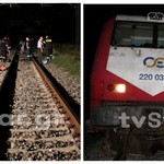 ΣΟΚ στον Αλίαρτο: Τρένο παρέσυρε και διαμέλισε βοσκό και το κοπάδι του-Εξαφανίστηκε ο μηχανοδηγός (ΦΩΤΟ)