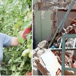 ΠΕΝΘΟΣ και ΑΠΟΓΝΩΣΗ στη Λέσβο: ΔΕΝ μπορούν να θάψουν την 43χρονη που ΣΚΟΤΩΘΗΚΕ στο σεισμό! ΔΑΚΡΥΖΕΙ ένας ιερέας στο Star