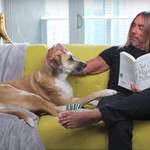Iggy Pop και Nick Cave σε μια συγκινητική διαφήμιση για την PETA