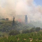 Κρήτη: Πυρκαγιά κοντά στην Μονή Αγκαράθου