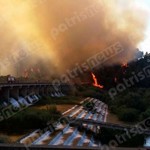 Ηλεία: Ολονύχτια μάχη με τις φλόγες έδωσε η Πυροσβεστική