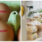 Συναγερμός στην Ευρώπη για τα μολυσμένα αυγά
