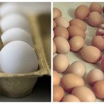 Αυστρία: Στην αγορά μολυσμένα προϊόντα αυγών