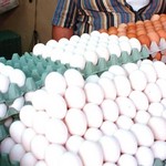 Εντατικοί έλεγχοι του ΕΦΕΤ για μολυσμένα αυγά στην Ελλάδα