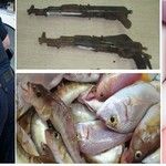Σπείρα με ψάρια, κουφέτα και όπλα στην ΕΛ.ΑΣ 