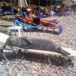 Δολοφονήθηκε η διάσημη φώκια Αργυρώ στη Σάμο