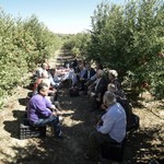 Θεοδωράκης: Παράδειγμα η καλλιέργεια ροδιού στην Ηλεία 