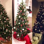 Tα Χριστουγεννιάτικα δέντρα των αναγνωστών του star.gr