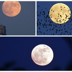 Πανσέληνος,blue moon και ολική έκλειψη στις 31 Ιανουαρίου
