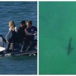 Nότια Αφρική: Λευκός καρχαρίας σε διαγωνισμό surfing