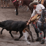 Ο καουμπόης προσπαθεί να πιάσει τον ταύρο