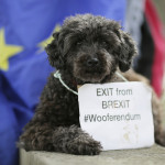 Σκύλος κατά του Brexit