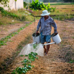 Αγρότης ποτίζει το χωράφι του