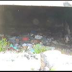 Σκουπίδια στον καταυλισμό Ρομά στα Άνω Λιόσια