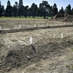 Ομαδικοί τάφοι θυμάτων κορωνοϊού στην Ιταλία