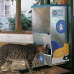 Δήμος Αθηναίων και δράσεις για τα ζώα
