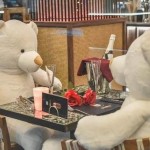 Αρκουδάκια σε καφέ της Καρδίτσας