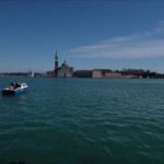 δελφίνια σε κανάλι στη Βενετία