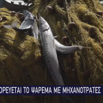 Star απαγόρευση αλιείας για μηχανότρατες