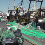 ενίσχυση ψαράδων για καθαρές θάλασσες