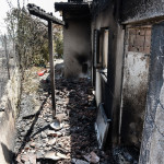 Φωτιά στην Αχαΐα: Η Επόμενη Ημέρα Στα Καμμένα