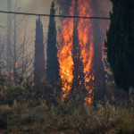 Χαλκιδική: Υπό Μερικό Έλεγχο Τέθηκε Η Φωτιά Κοντά Στον Στανό