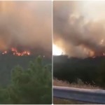 Φωτιά Έβρος: Καίγεται Το Δάσος Δαδιάς - Λευκίμης