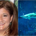 Καρχαρίας Κατασπάραξε Γυναίκα Μπροστά Στην Οικογένειά Της