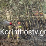 Κόρινθος: Φωτιά Στο Χιλιομόδι