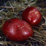 Πάσχα 2023: Γιατί βάφουμε κόκκινα αυγά τη Μεγάλη Πέμπτη;