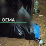 Ασπρόπυργος: Πέταξαν Κουτάβια Μέσα Σε Σακούλες Στα Σκουπίδια
