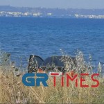 Θεσσαλονίκη: Πτώμα Άνδρα Βρέθηκε Στη Θάλασσα