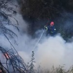 Φωτιά στον Πρόδρομο Βοιωτίας - Μήνυμα 112 στους κατοίκους της περιοχής