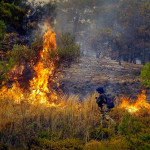 Αρωγή: Άνοιξε Η Πλατφόρμα Για Τους Πυρόπληκτους