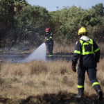 Φωτιά Μαραθώνας: Mήνυμα 112 Για Εκκένωση Δύο Περιοχών