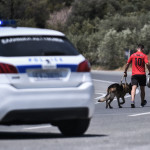 Ευρυτανία: Σκότωσε Τον Αδελφό Του Με Καραμπίνα