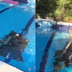 Κόνι Μεταξά